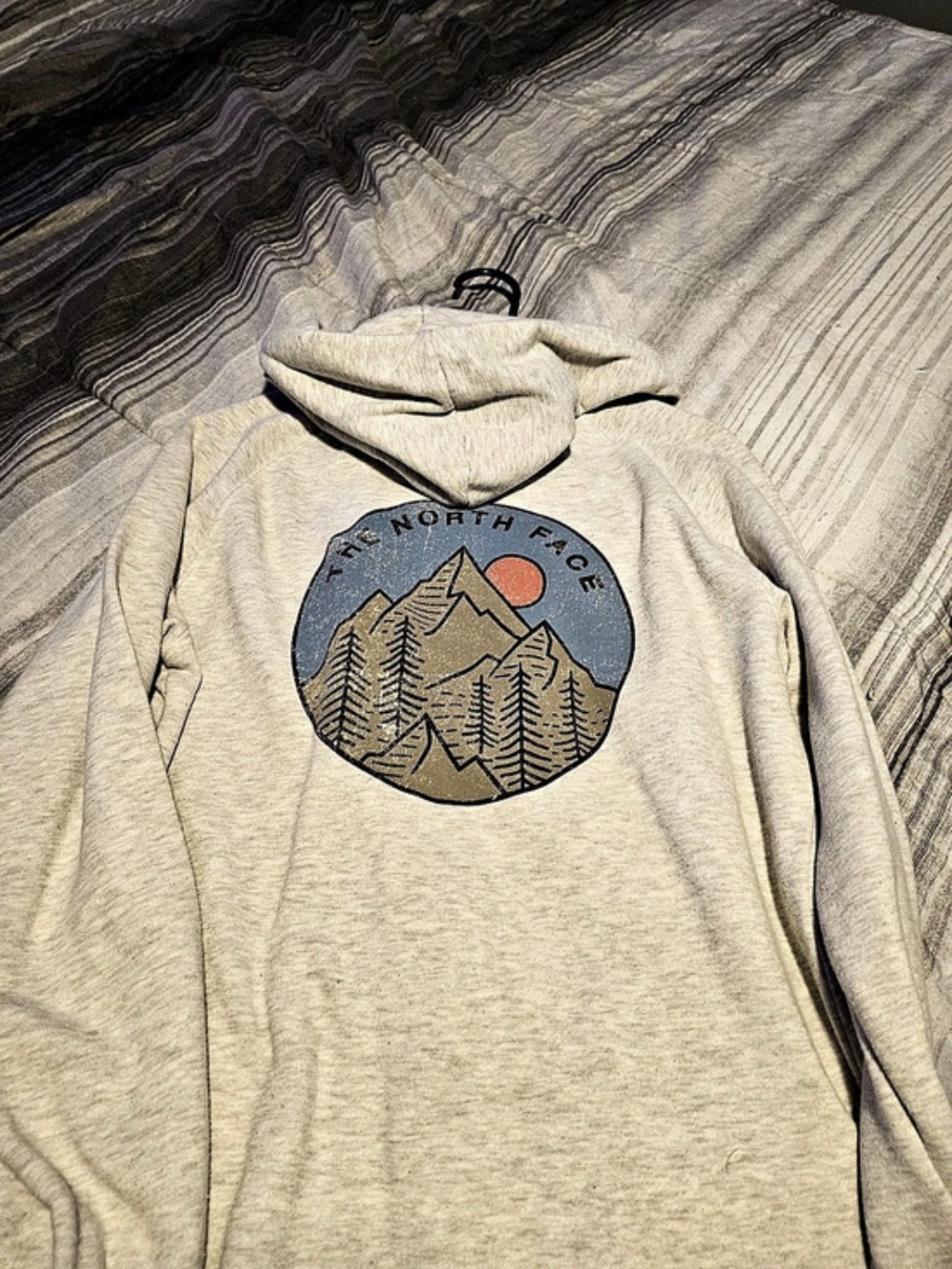 The North Face Half Dome Mountain Graphic Hoodie Gray Large